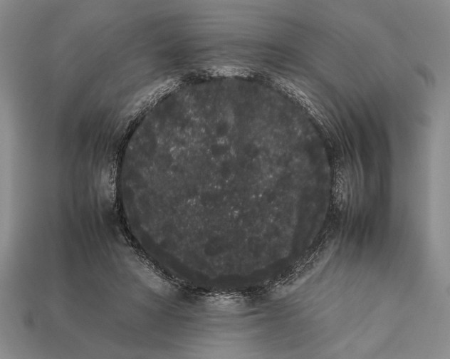 X0000113260402200909241526