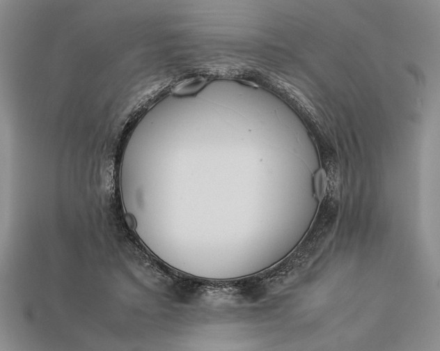 X0000113260403200909241526