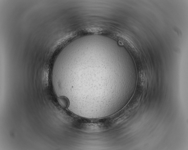 X0000113260404200909241526