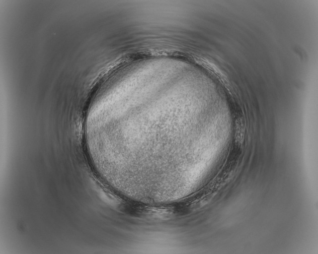 X0000113260405200909241526