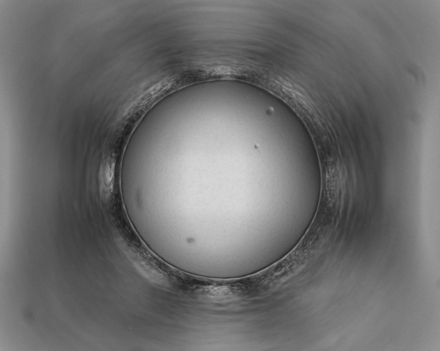 X0000113260406200909241526