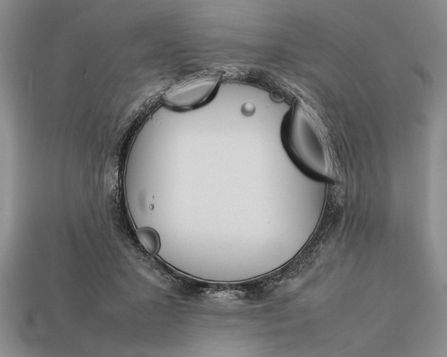 X0000113260407200909241526