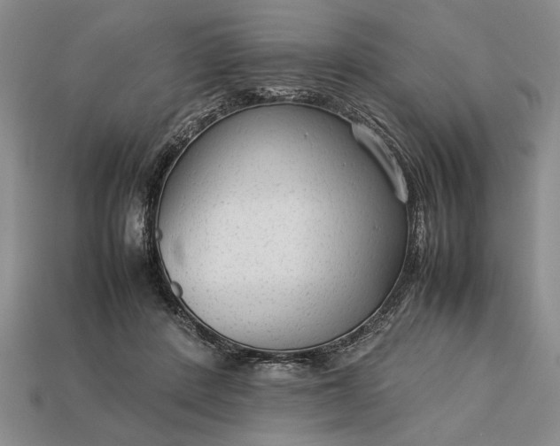 X0000113260408200909241526