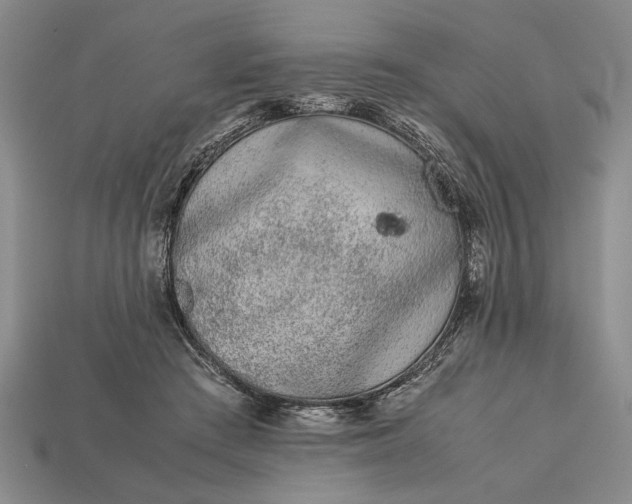 X0000113260409200909241526