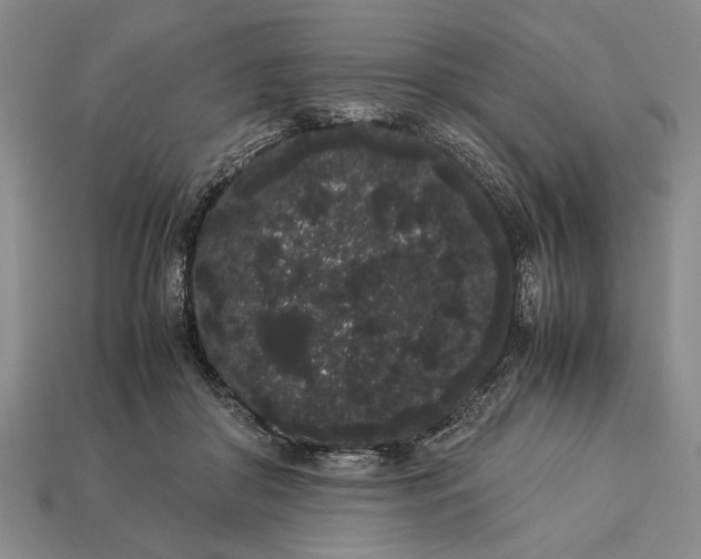 X0000113260410200909241526