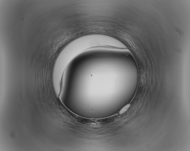 X0000113260411200909241526