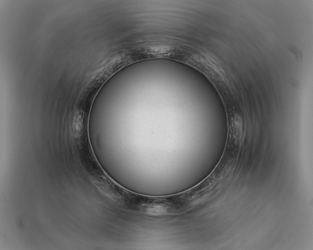 X0000113260412200909241526