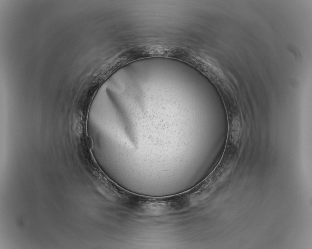 X0000113260413200909241526