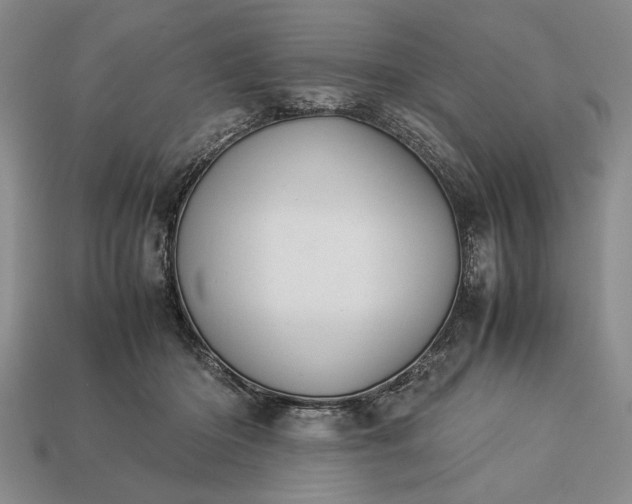 X0000113260414200909241526