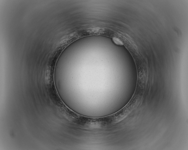 X0000113260416200909241526