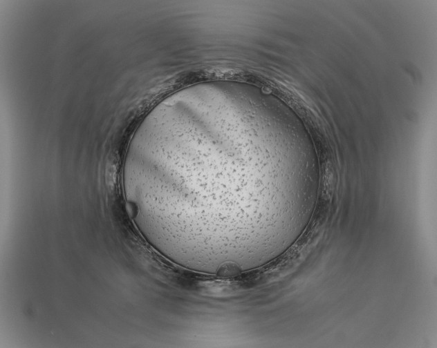 X0000113260417200909241526