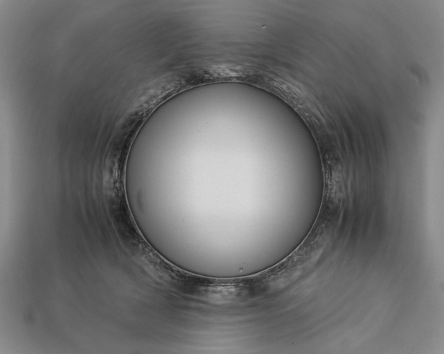 X0000113260418200909241526