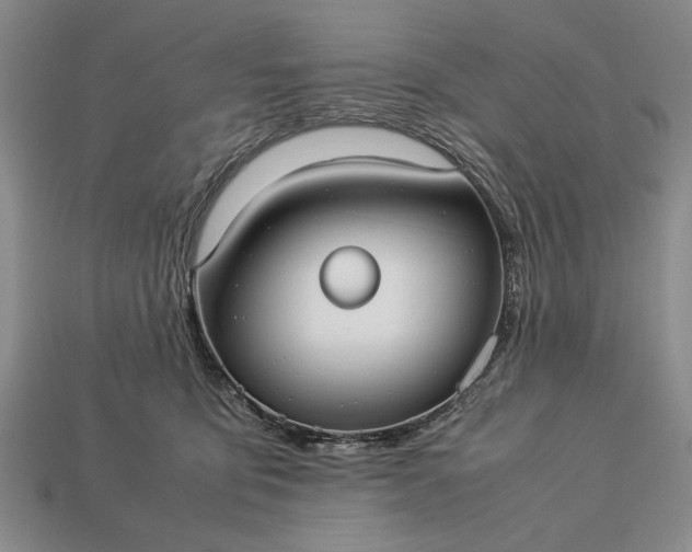 X0000113260419200909241526