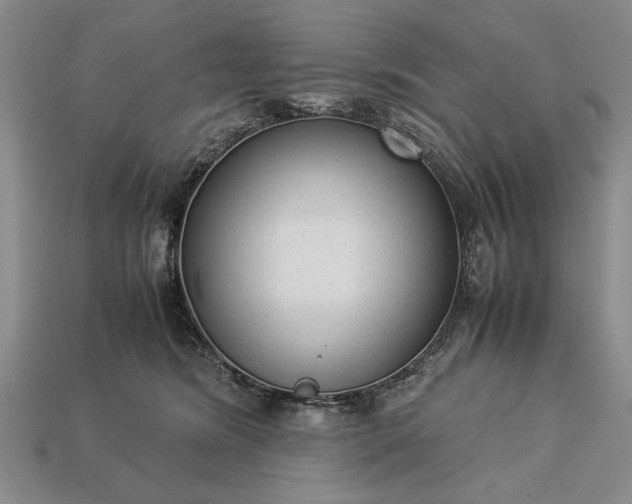 X0000113260420200909241526