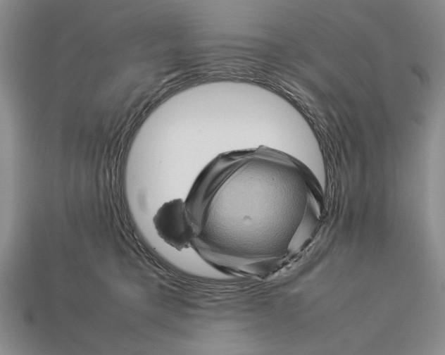 X0000113260421200909241526