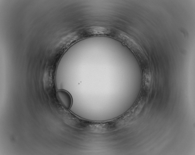 X0000113260422200909241526