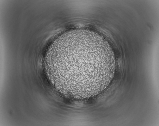 X0000113260423200909241526