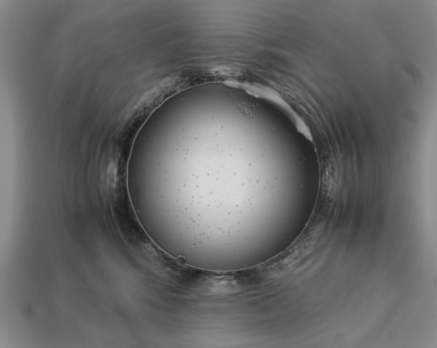 X0000113260424200909241526