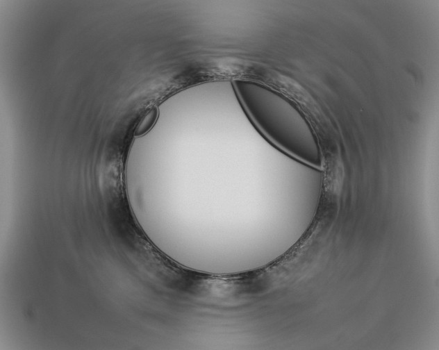 X0000113260425200909241526