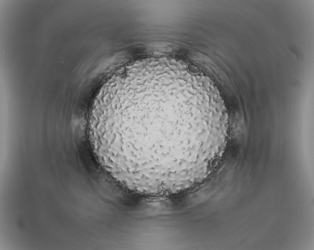 X0000113260427200909241526