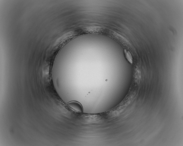 X0000113260428200909241526