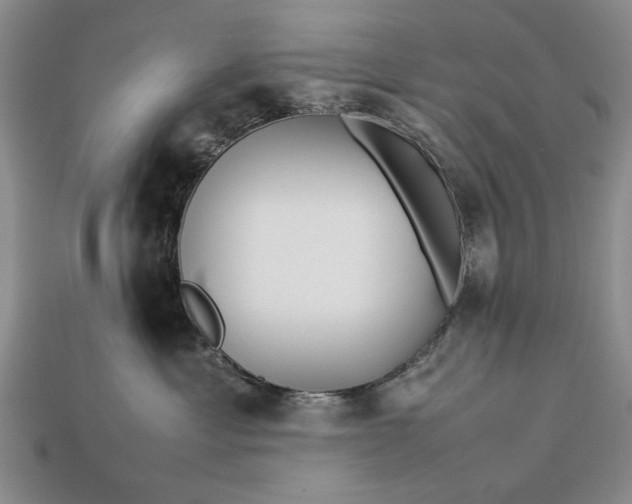 X0000113260429200909241526