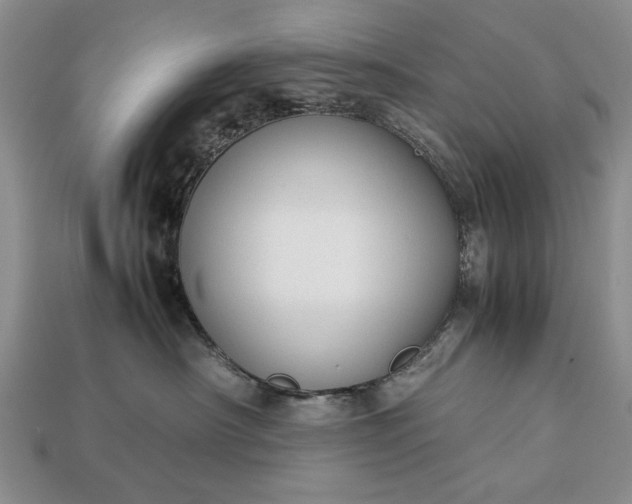 X0000113260430200909241526