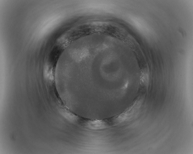 X0000113260431200909241526