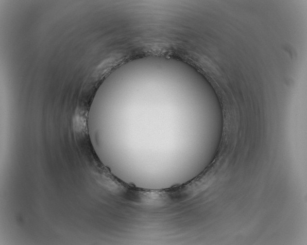 X0000113260432200909241526