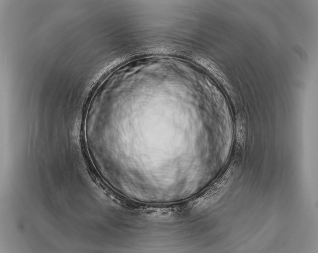 X0000113260434200909241525