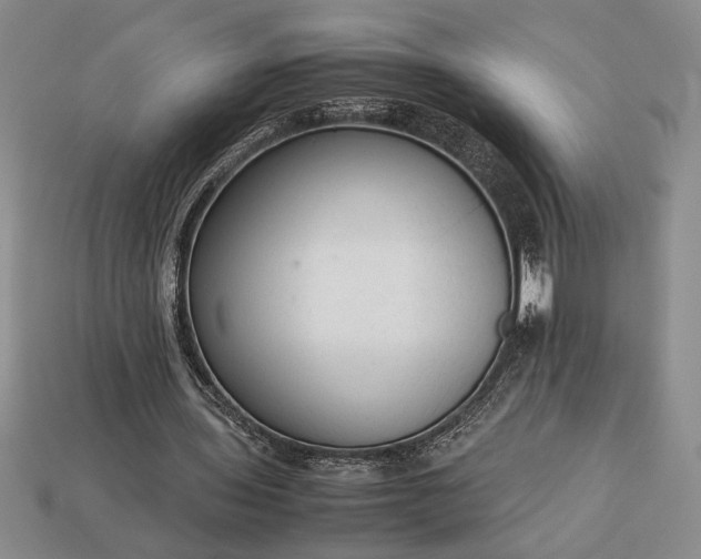 X0000113260435200909241525