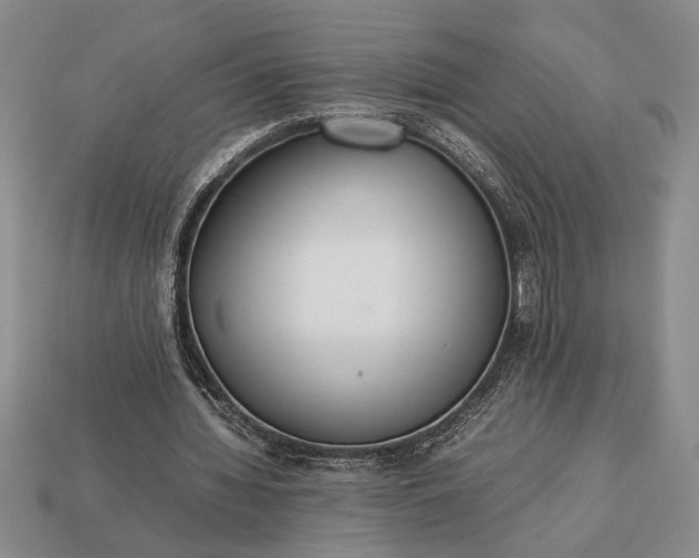 X0000113260436200909241525