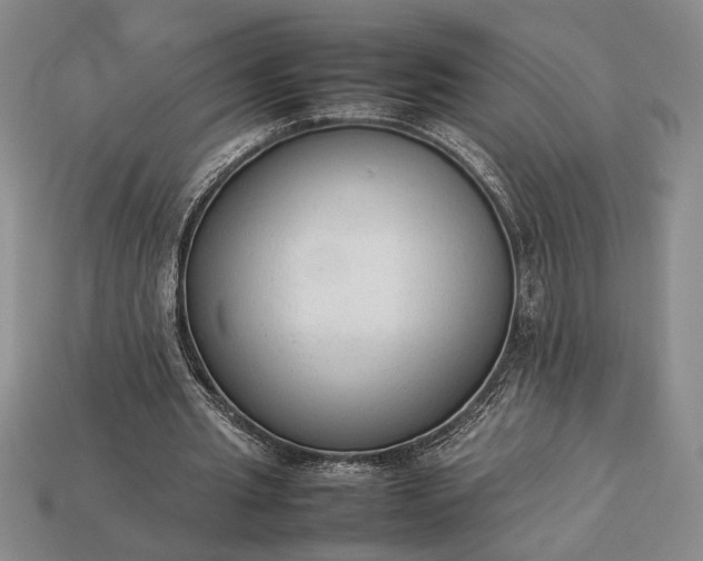 X0000113260437200909241525