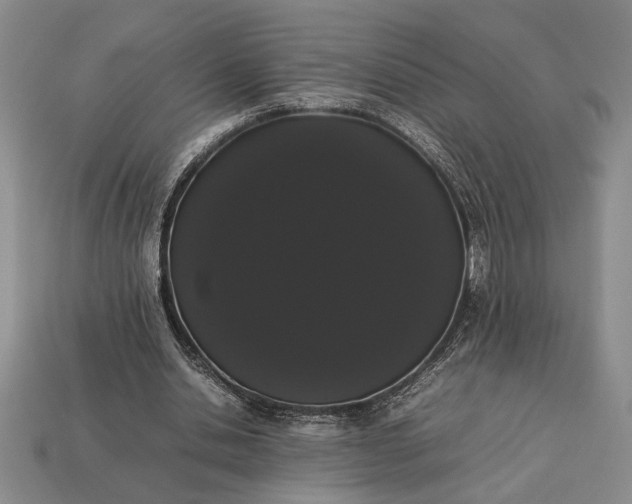 X0000113260438200909241526