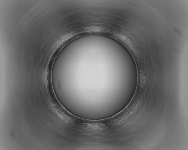 X0000113260439200909241526