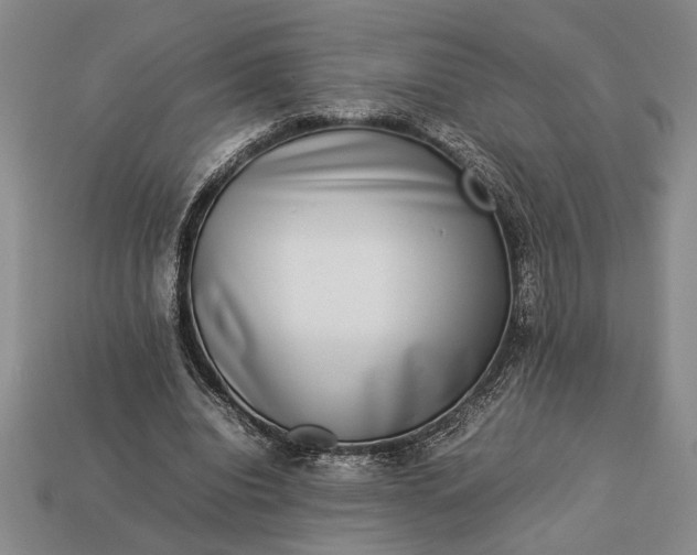 X0000113260440200909241526