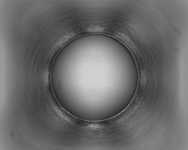 X0000113260441200909241526