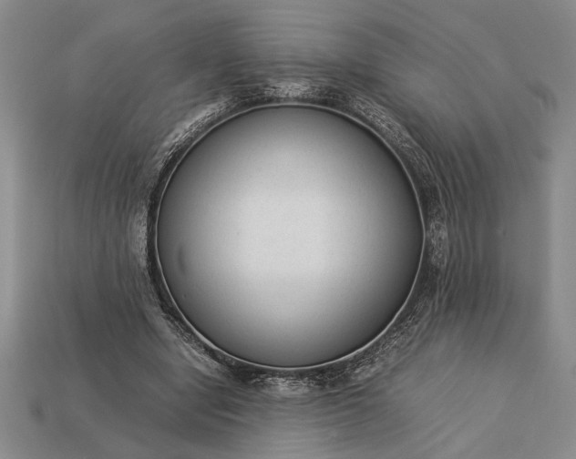 X0000113260442200909241526