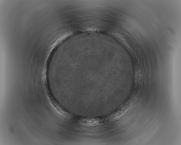 X0000113260443200909241526