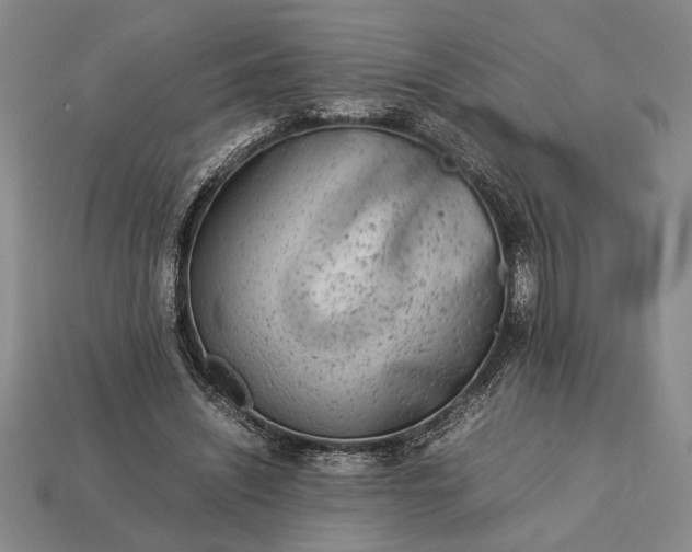 X0000113260444200909241526