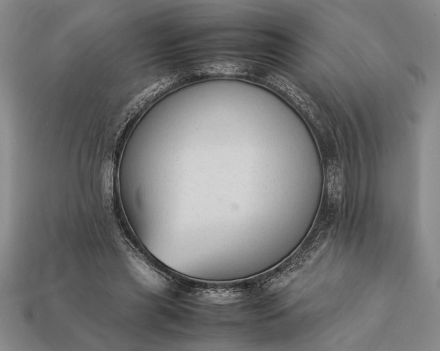 X0000113260445200909241526