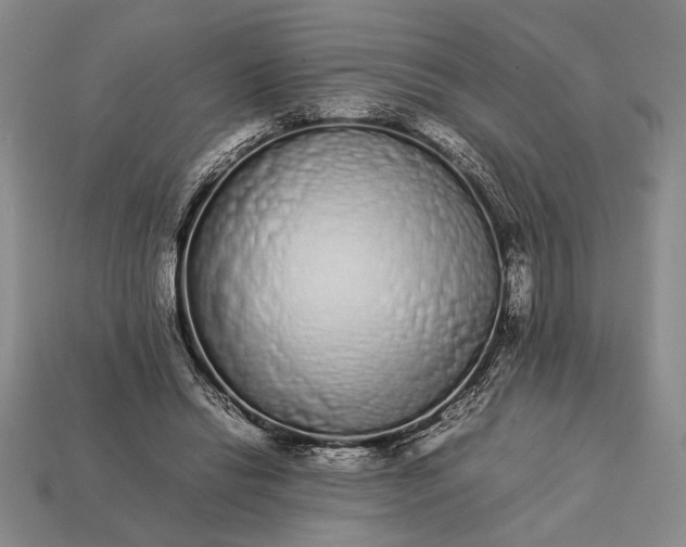 X0000113260446200909241526