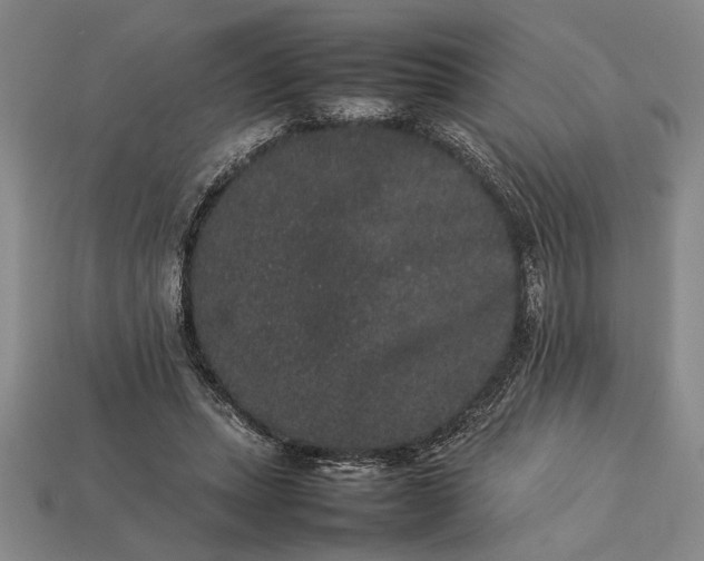 X0000113260447200909241526