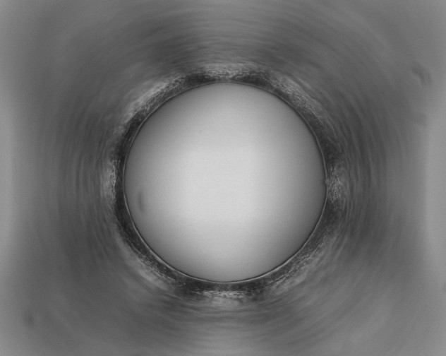 X0000113260448200909241526