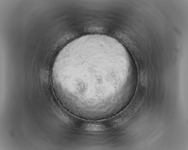 X0000113260449200909241526