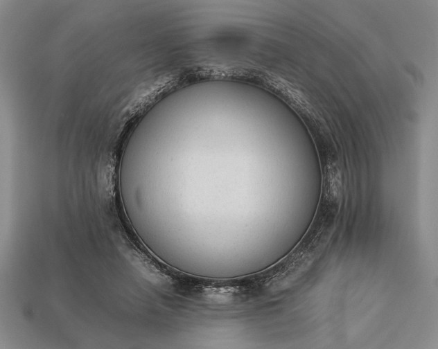 X0000113260450200909241526