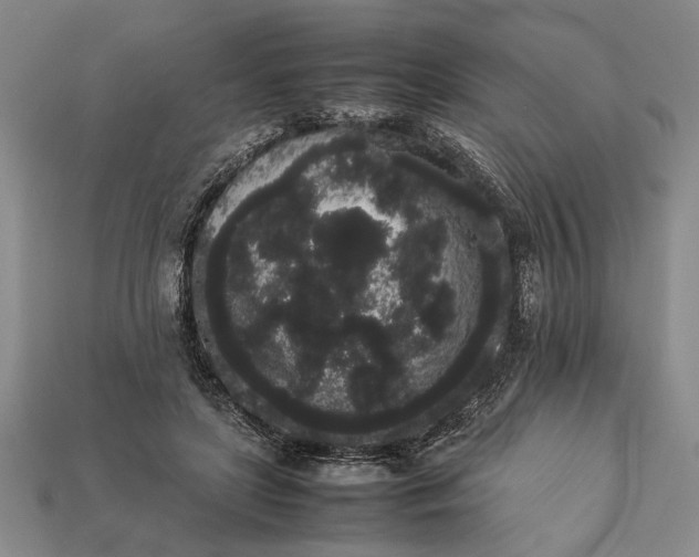 X0000113260451200909241526