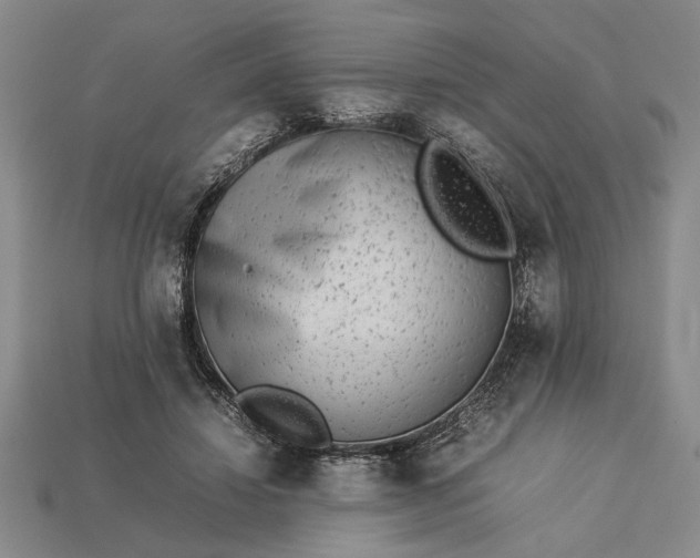 X0000113260452200909241526