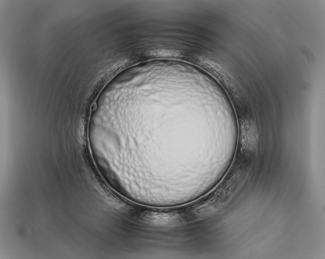 X0000113260453200909241526