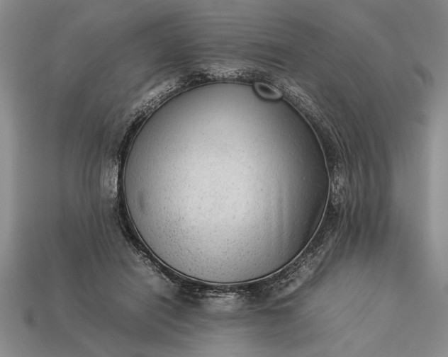 X0000113260454200909241526